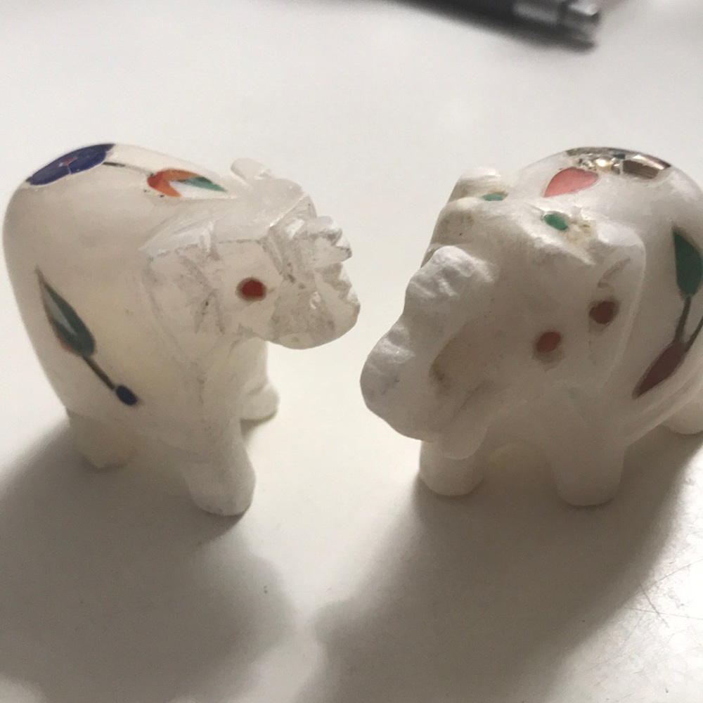 Twin elephants